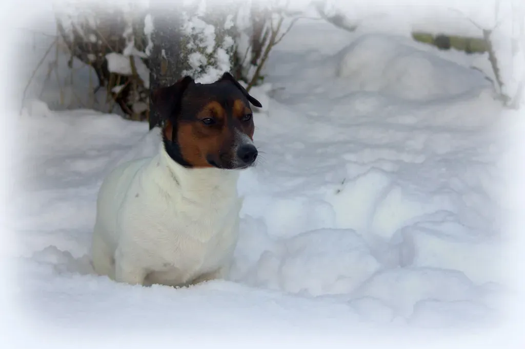 3 - The Winter That Felt Like Magic (Janice Watson Photography, Flickr, CC BY 2.0)