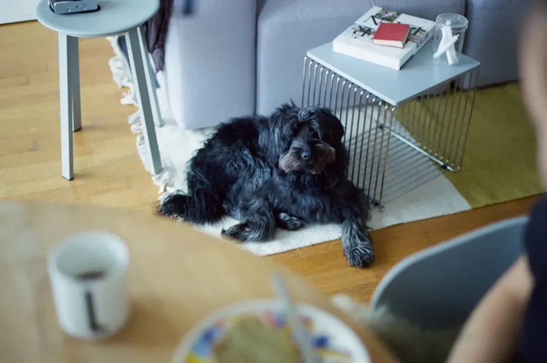 The Microwave Beep: Tiny Sound, Big Reaction (Image Credits: Unsplash)