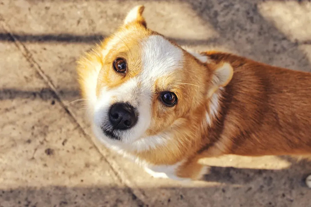 Conclusion: The Science Behind the Magic (Image Credits: Unsplash)