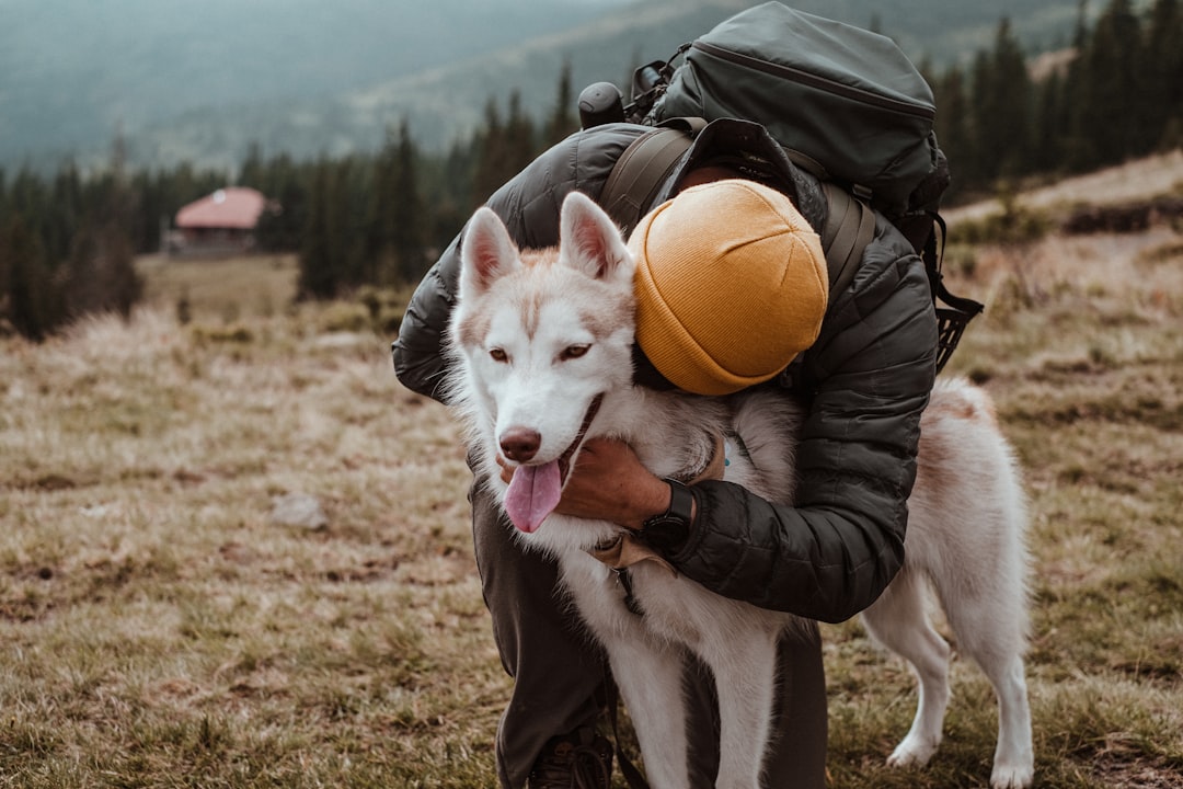 The Healing Power of Touch: Physical Connection and Emotional Bonds (Image Credits: Unsplash)