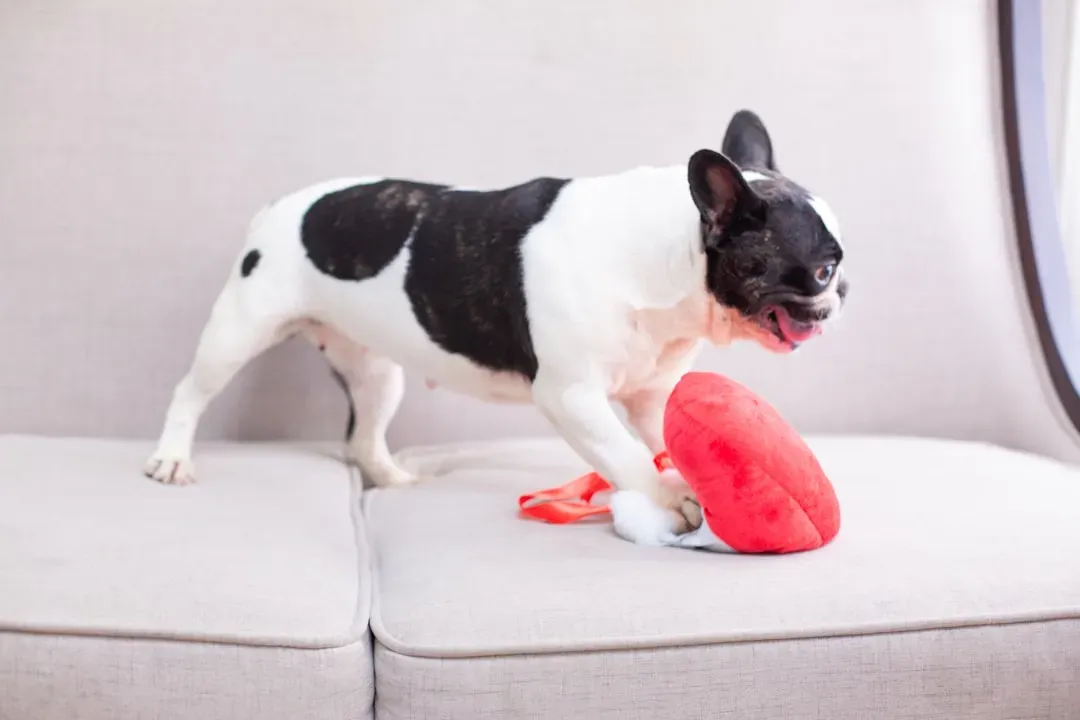 #4 - The Quick Touch-and-Sniff, Then Retreat (Image Credits: Unsplash)