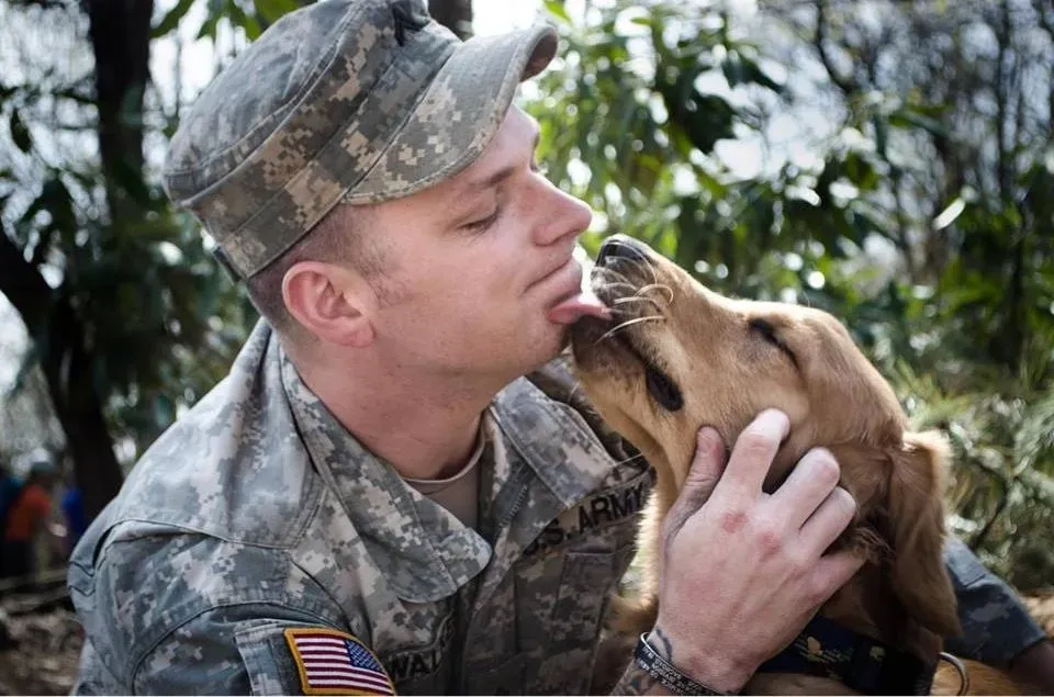 Health Clues and Boundaries: When Licking Is a Signal You Should Not Ignore (ProjectROVER Assistance Dog, Public domain)