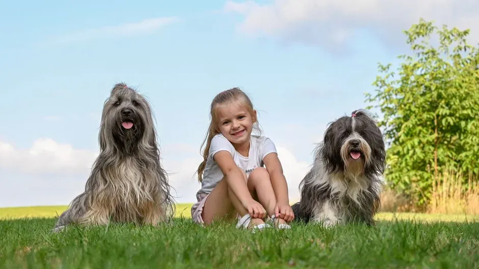 #6 - Leaving Kids and Dogs Alone to "Learn to Get Along" (Image Credits: Pexels)