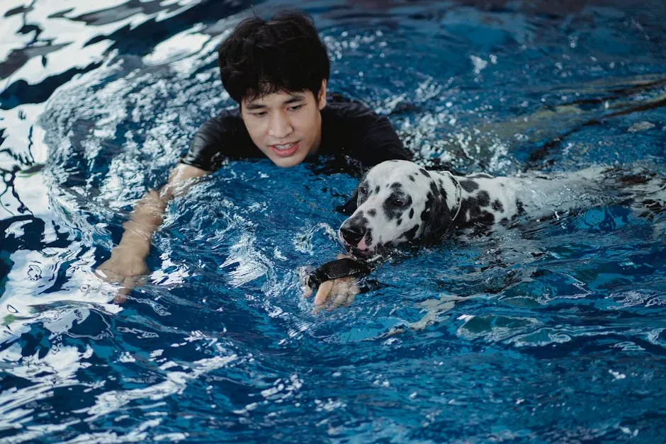 7. Dalmatian - The Born Runner (Image Credits: Pexels)