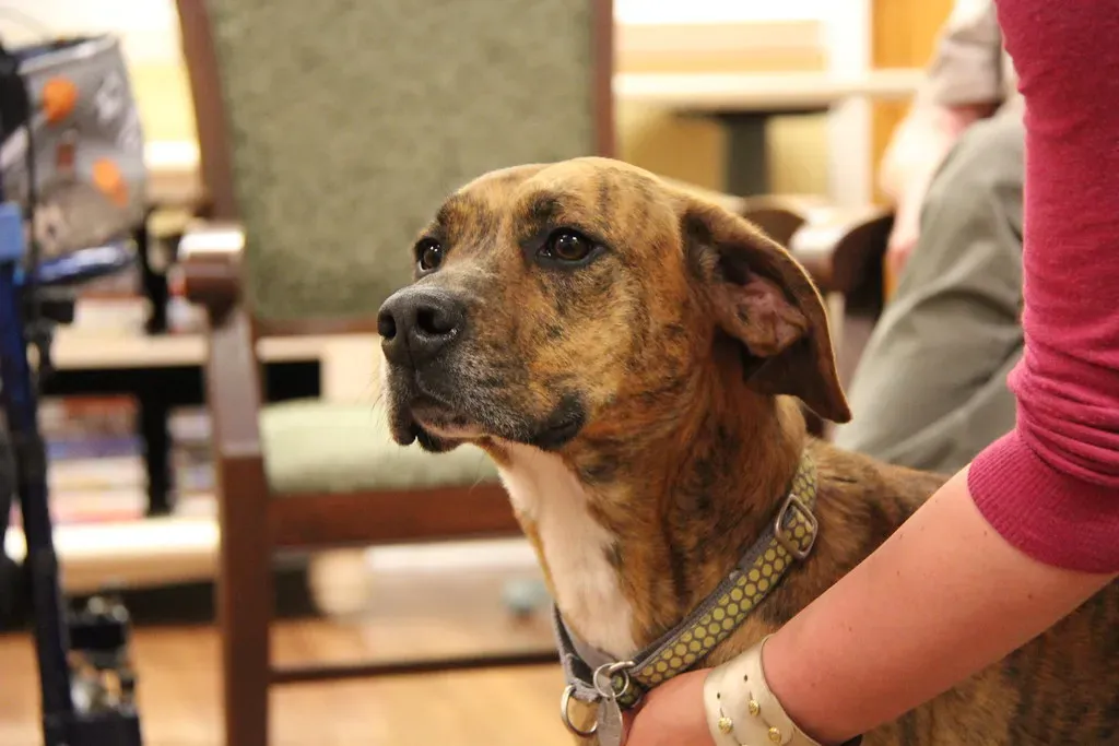 Routine Provides Comfort Yet Variety Brings Joy (Image Credits: Flickr)