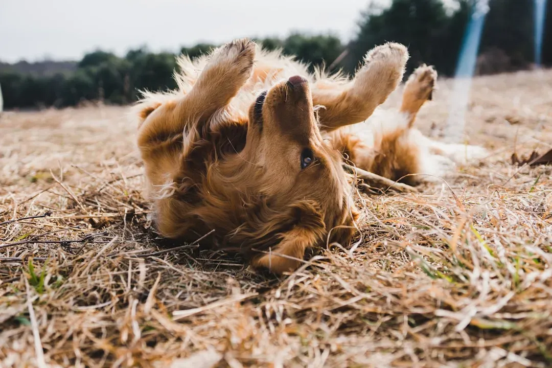 #10 - They Test Brand New "Alone Time" Boundaries (Image Credits: Unsplash)
