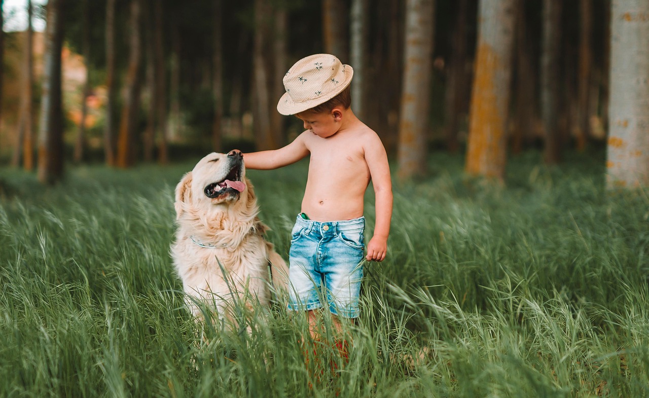 Reading Your Dog's Stress Signals Around Children (Image Credits: Pixabay)
