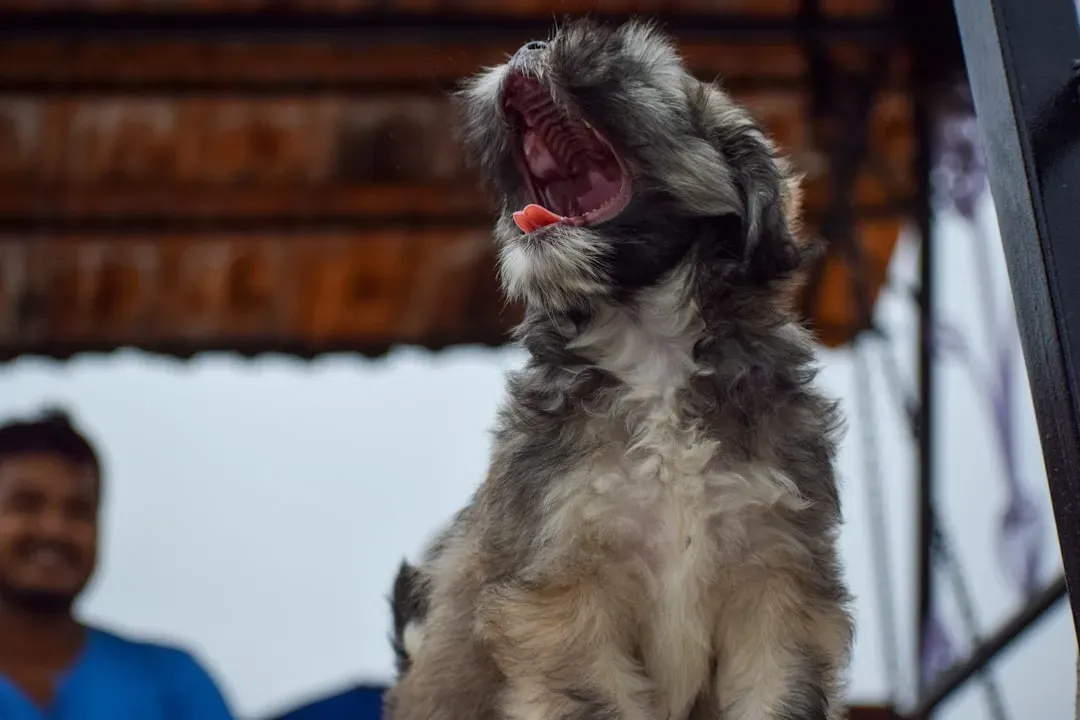 When Vocal Changes Signal Health Concerns (Image Credits: Unsplash)