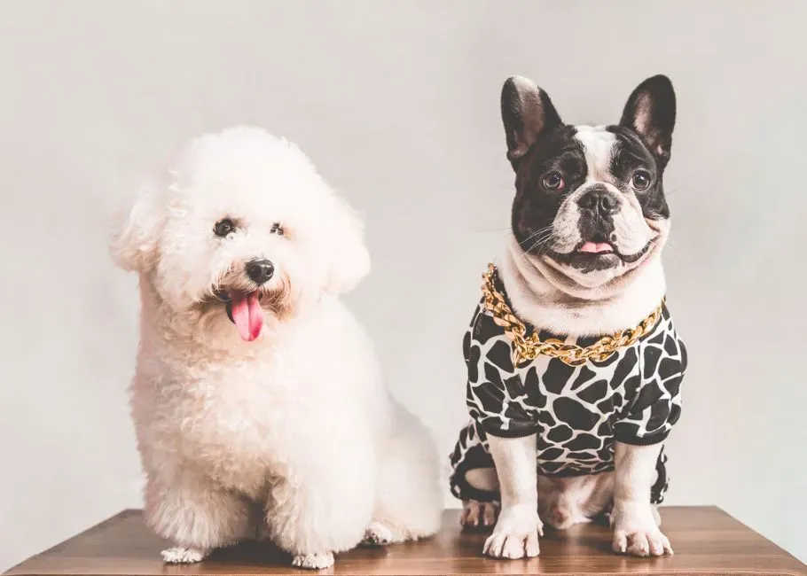 Individual Personalities at Play (Image Credits: Pexels)