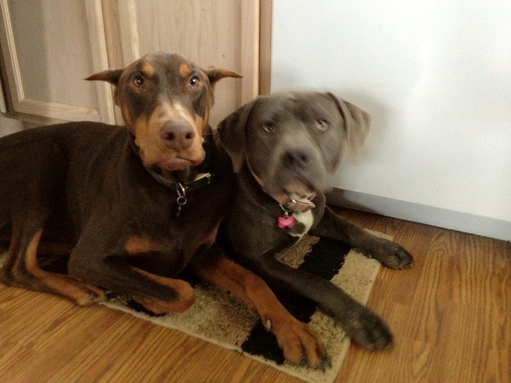 Respect Their Personal Space and Boundaries (Image Credits: Flickr)