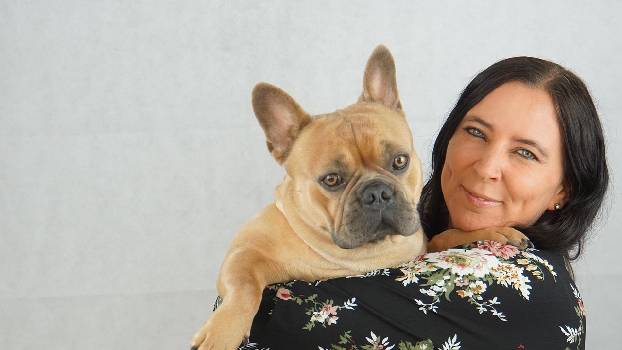 French Bulldogs: Low-Energy Cuddle Champions (Image Credits: Pixabay)