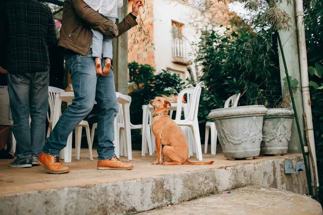 Helping Your Dog Feel Safe While They “Profile” Your Guests (Image Credits: Unsplash)