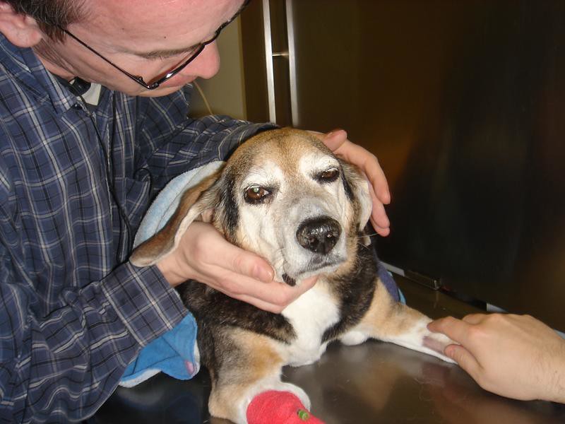 Conclusion (Image Credits: Flickr)