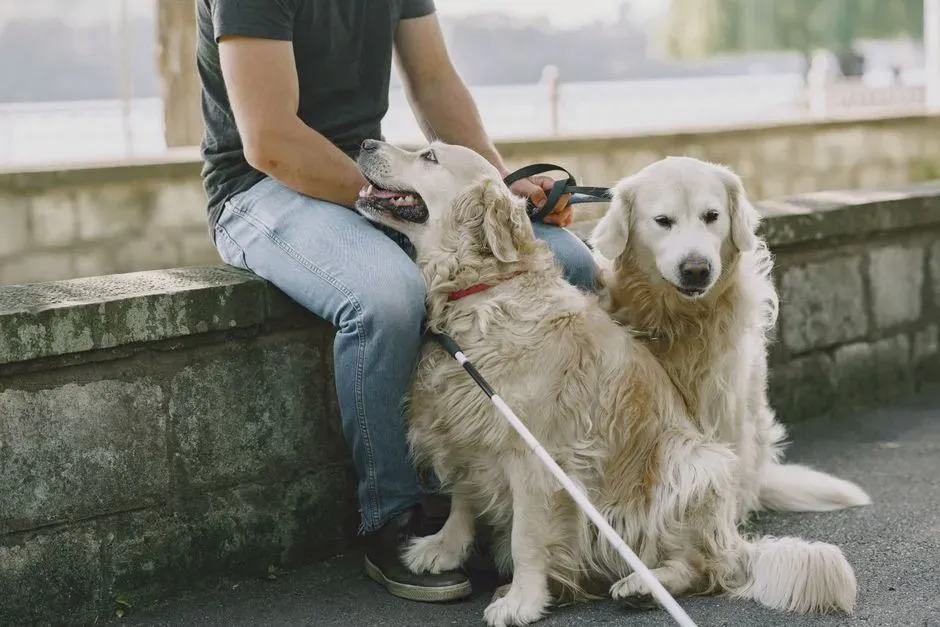 #2 - Whether the Dog Leads With Its Nose, Ears, or Eyes (Image Credits: Pexels)