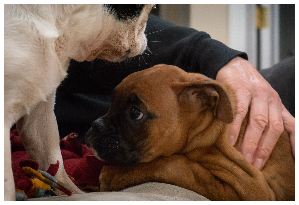 The Critical Window We Often Miss (Image Credits: Flickr)