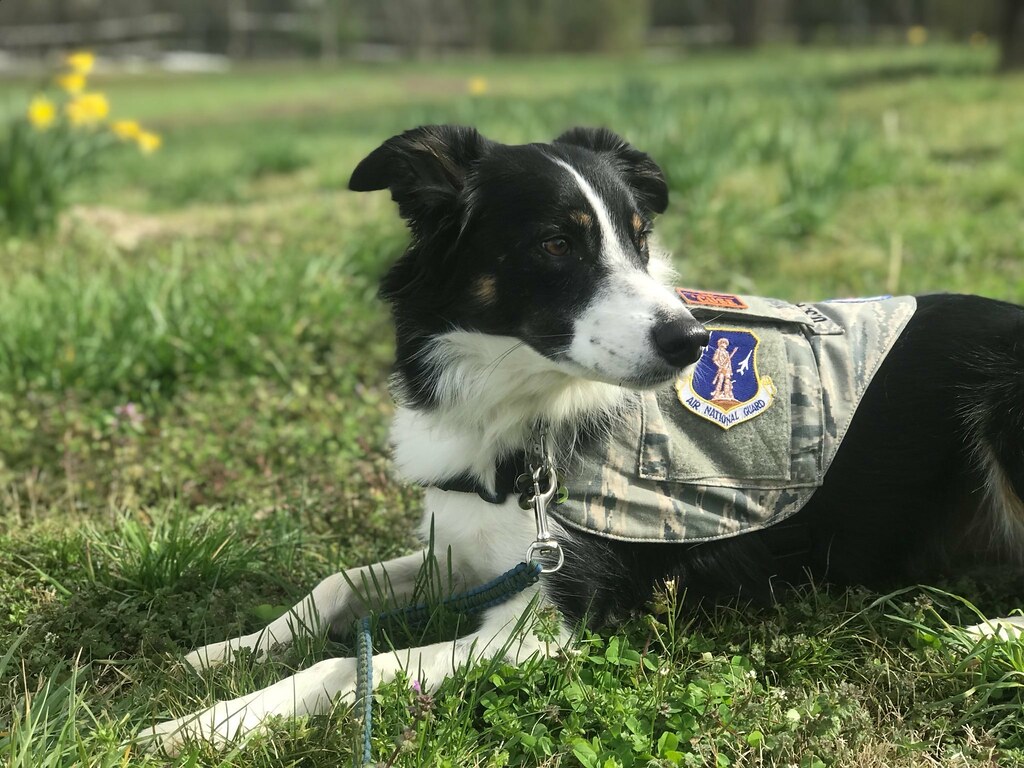 Capricorn: The Ambitious Achiever (December 22 - January 19) (Image Credits: Flickr)