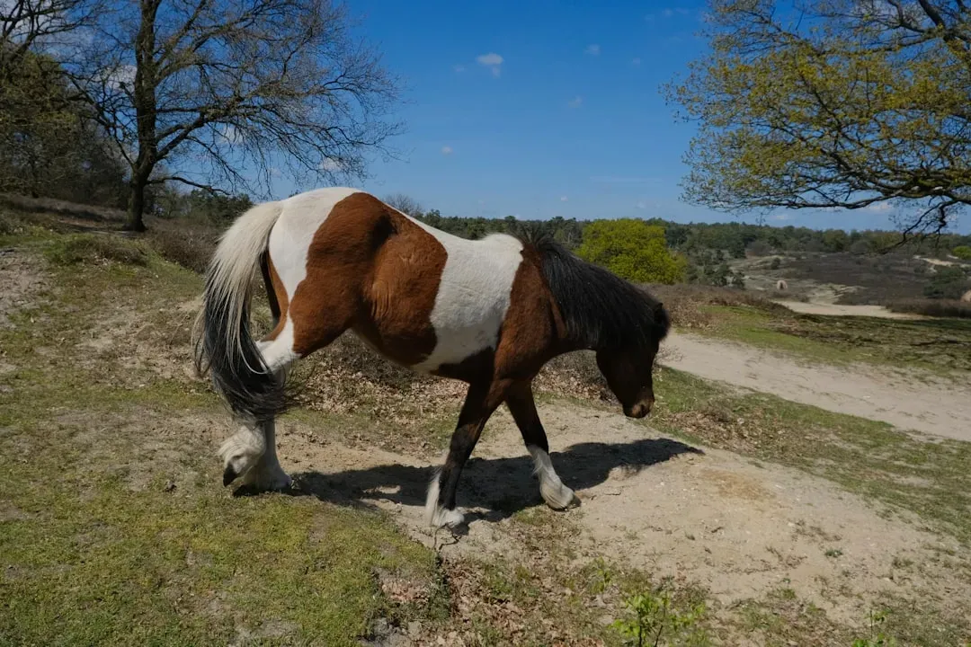 Physical Pain Indicators and Changes in Movement (Image Credits: Unsplash)