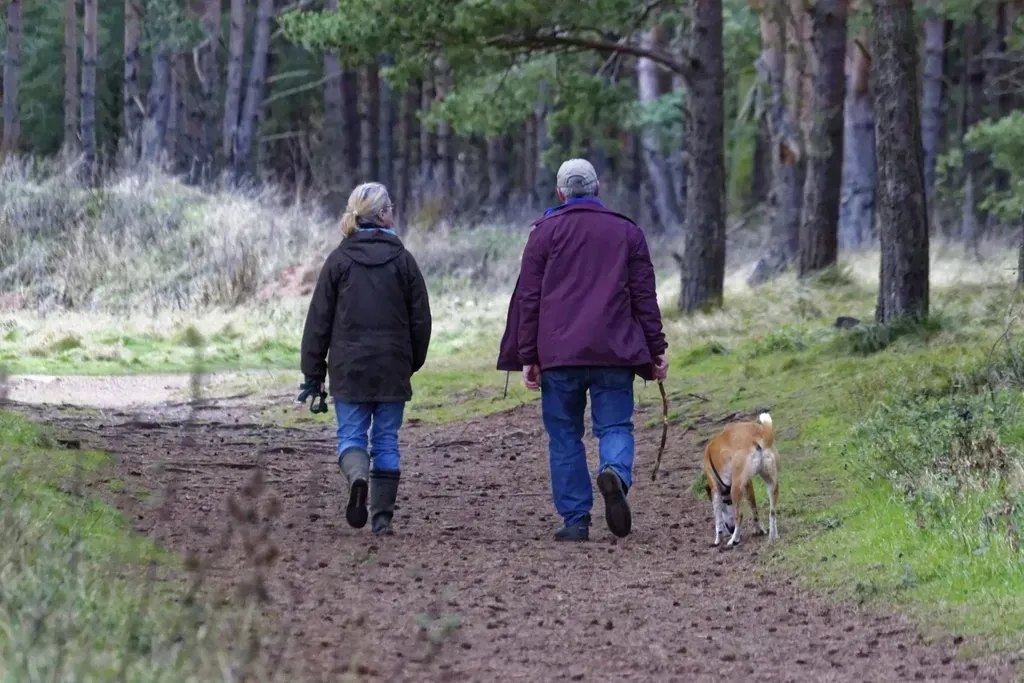 8. Relying on Pack Instincts for Stability (Image Credits: Rawpixel)