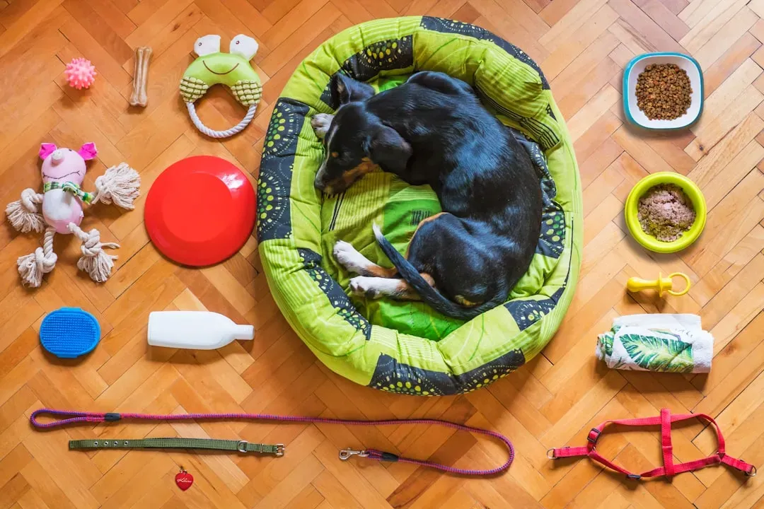 Protective Behavior Toward Personal Items (Image Credits: Unsplash)