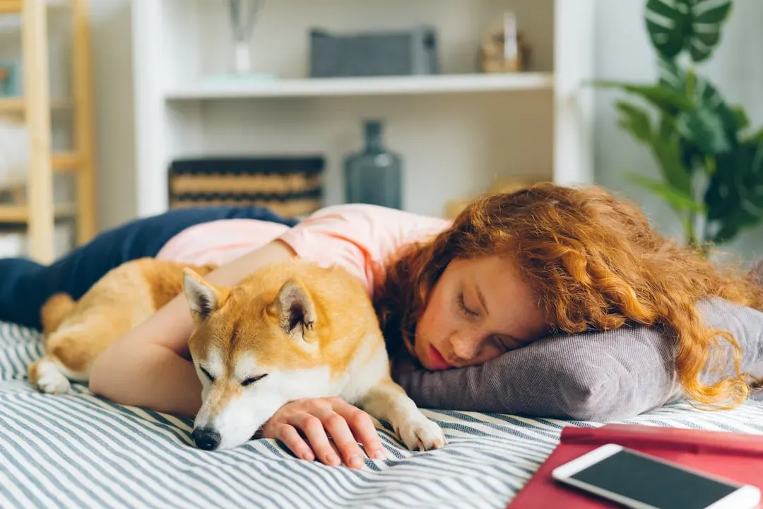 3. They Sleep Deeply and Vulnerably Near You (Image Credits: Unsplash)