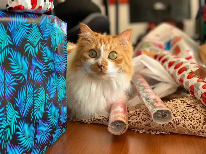 #12: Bringing You Gifts (Image Credits: Pexels)