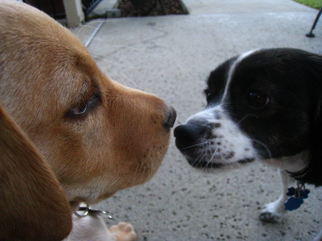 The Art of the Slow Introduction (Image Credits: Flickr)