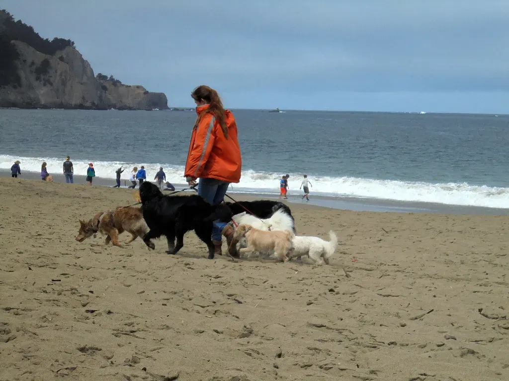 Don't Try to Hit, Kick, or Physically Fight Back (Image Credits: Flickr)