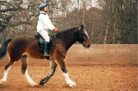 Training and Handling Considerations (Image Credits: Wikimedia)