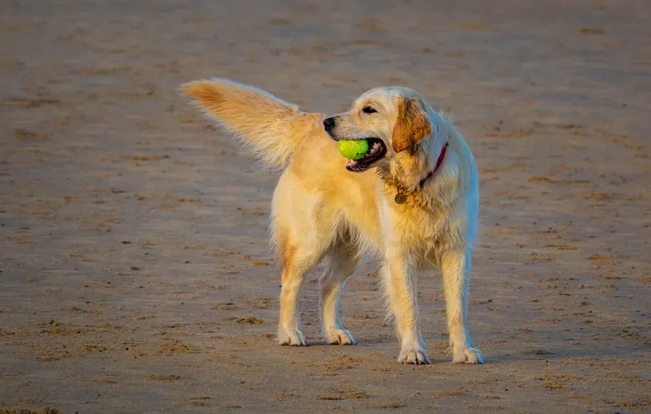 2. Golden Retriever: The Joyful Overachiever (Image Credits: Pexels)