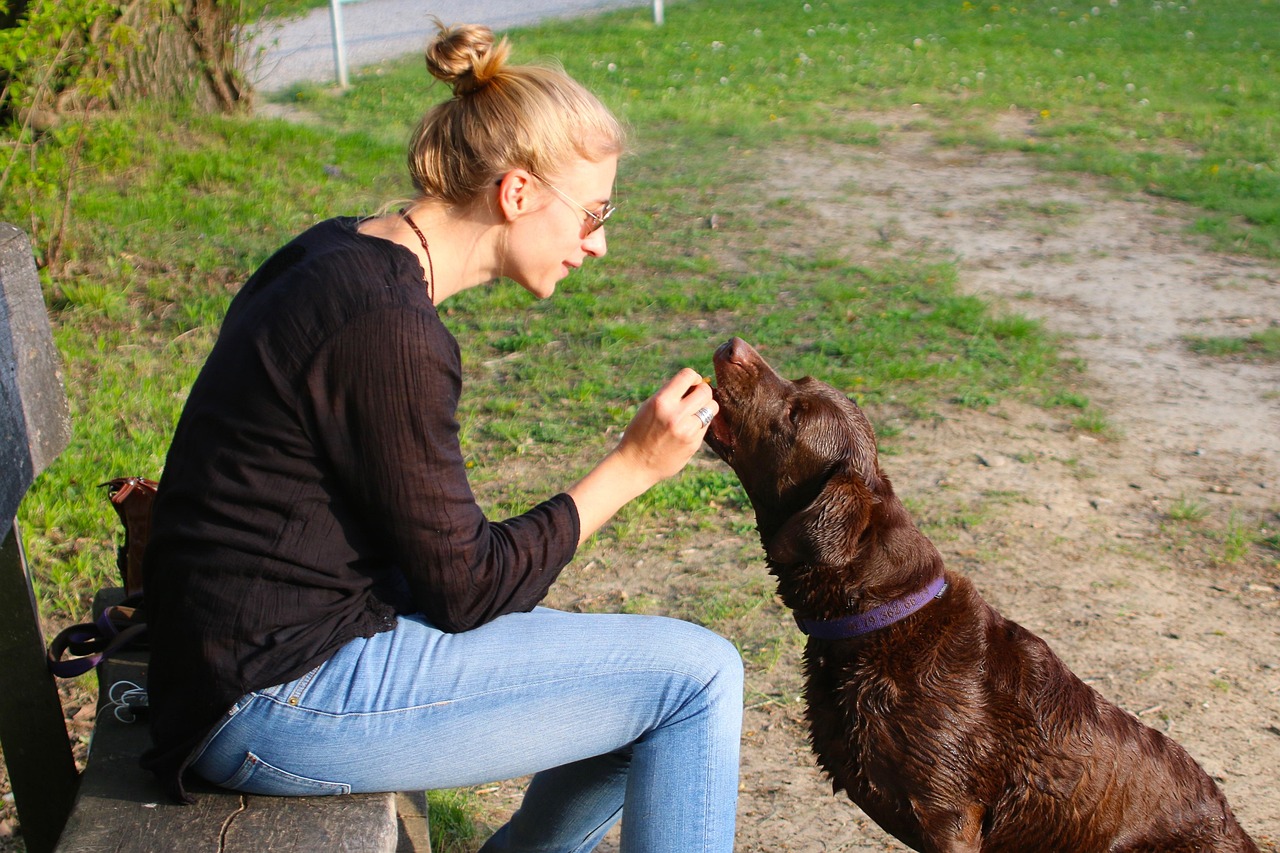 The Neuroscience Magic Behind Every Reward (Image Credits: Pixabay)