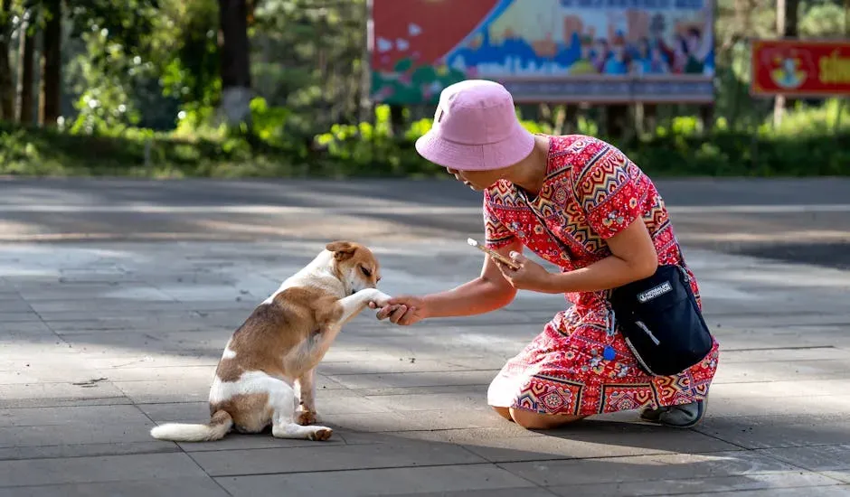 Conclusion: Your Dog Is Carrying More Than You Think (Image Credits: Pexels)