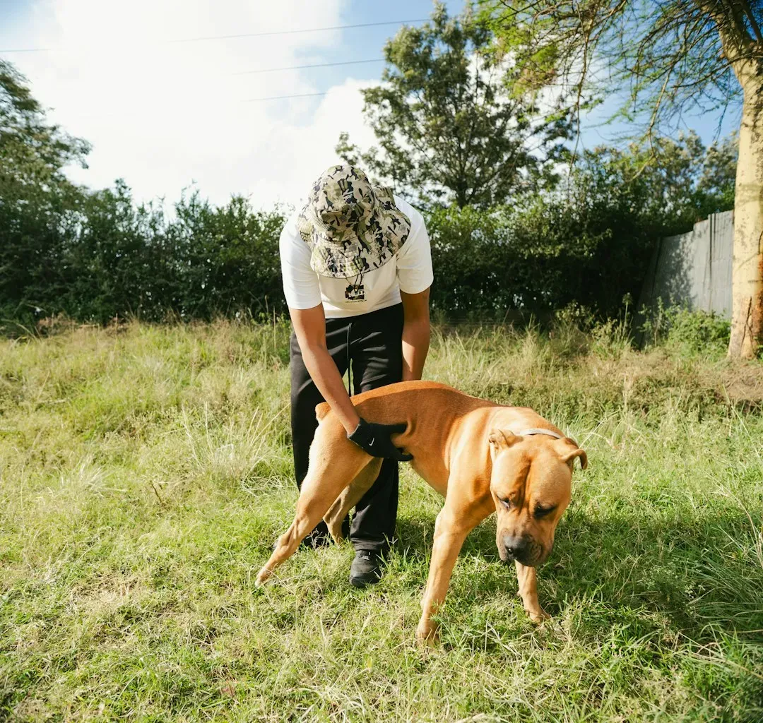 Conclusion: Choosing a Dog Who Keeps You in the Game (Image Credits: Unsplash)