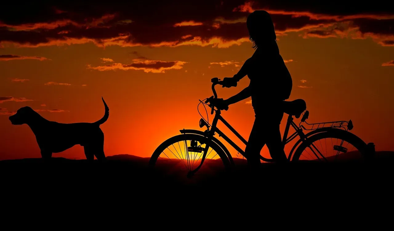 2. Following You From Room to Room (Your Little Furry Shadow) (Image Credits: Pixabay)