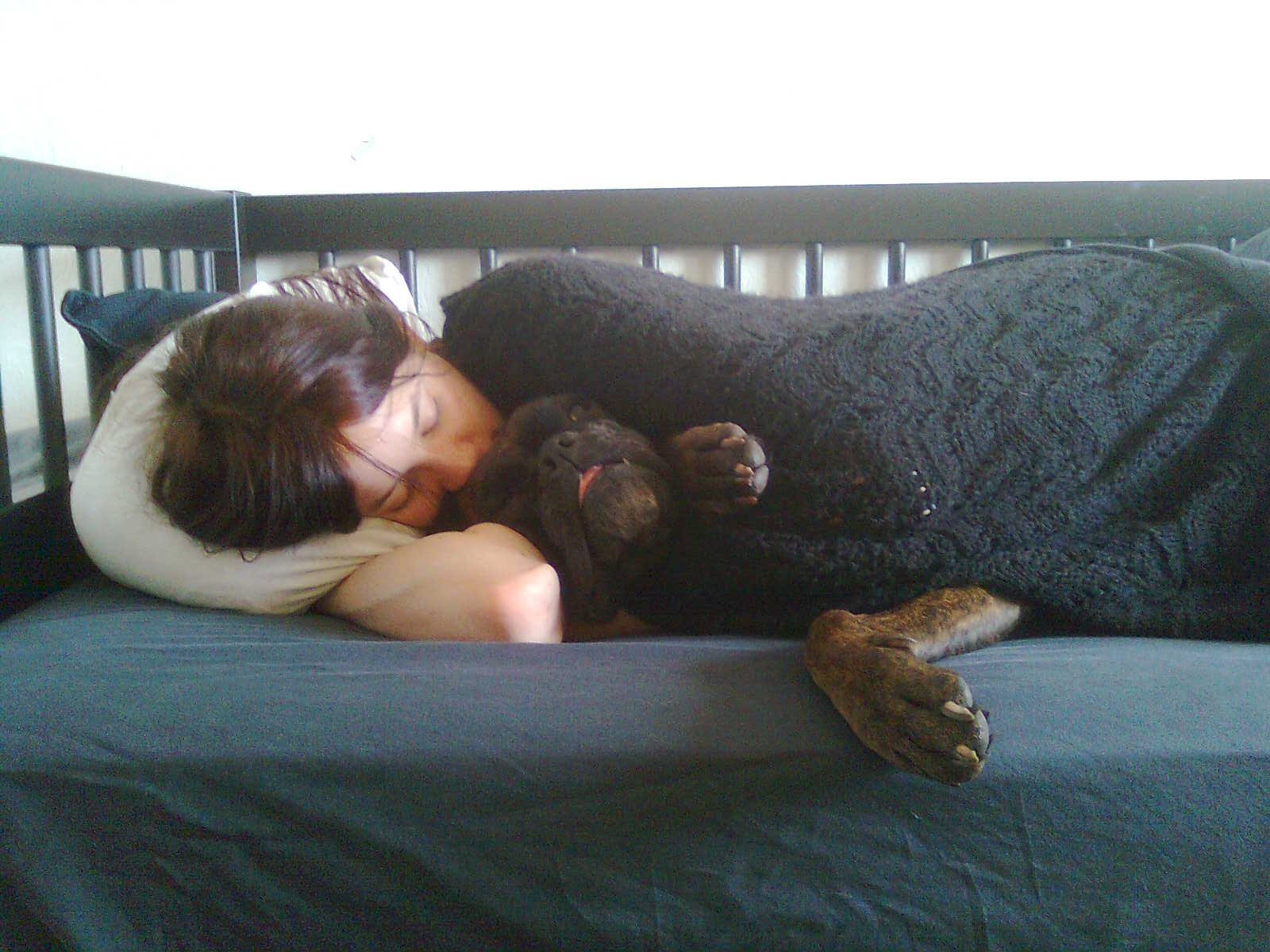Sleeping Close to You or In Your Bed (Image Credits: Wikimedia)