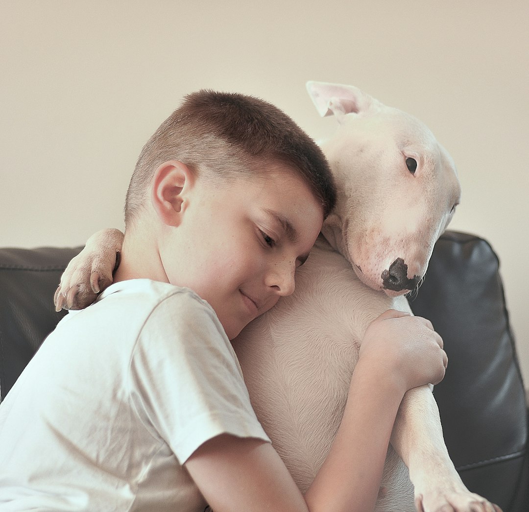 The Healing Power of Dog Comfort (Image Credits: Unsplash)