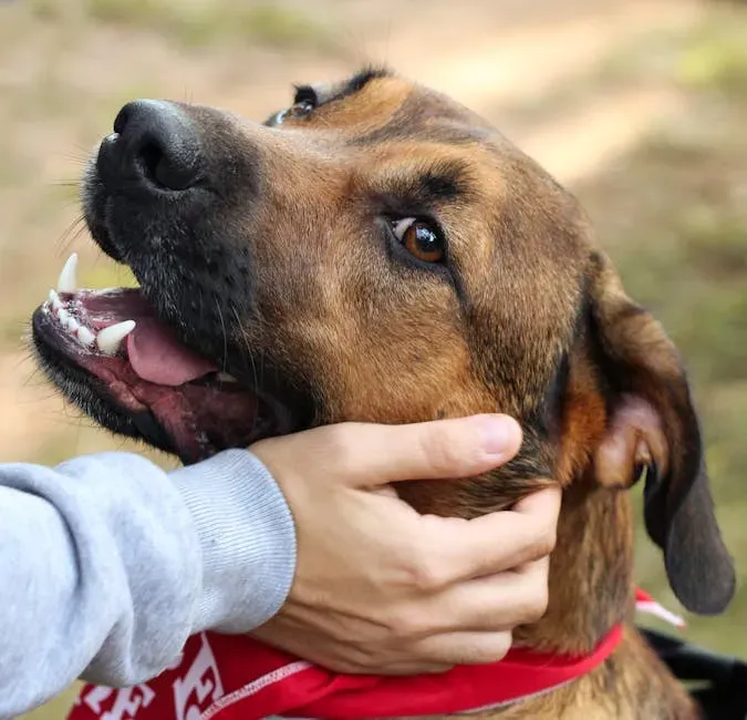 #2: Their Whole Body Celebrates When You Come Home (Image Credits: Pexels)