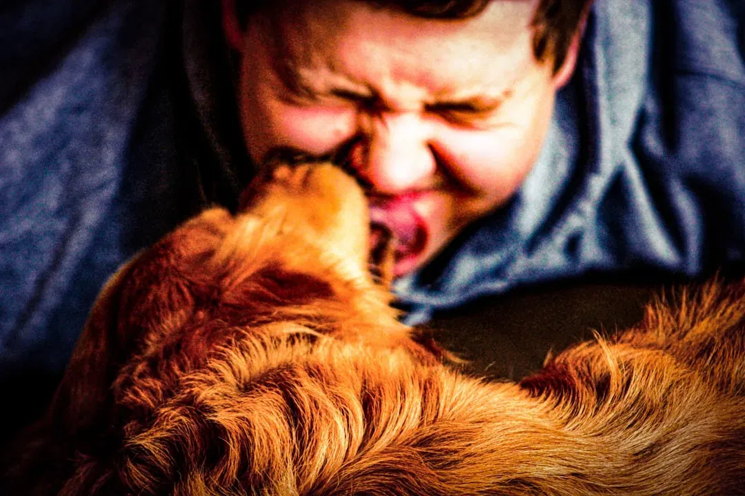 Why Licking Is Hardwired Into Your Dog's Brain (Image Credits: Unsplash)