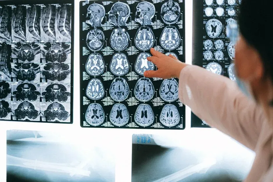 The Surprise Inside the Brain: Emotional Sound Centers (Image Credits: Pexels)