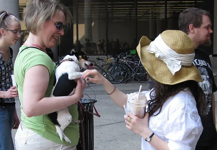 How to Say Hello Back: Greeting Your Dog the Right Way (college.library, Flickr, CC BY 2.0)