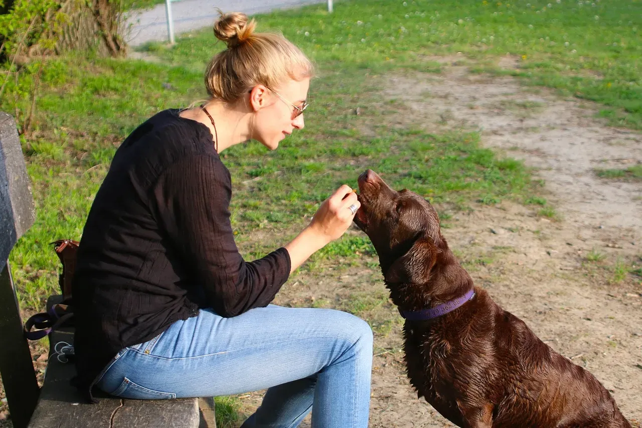 Training Implications: How to Reward Fairly Without Overcomplicating Things (Image Credits: Pixabay)