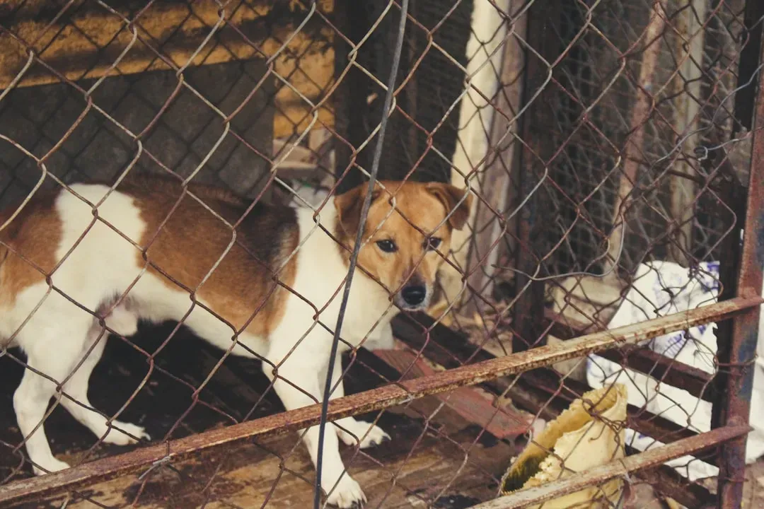 The Scale of the Problem Is Bigger Than You Think (Image Credits: Unsplash)