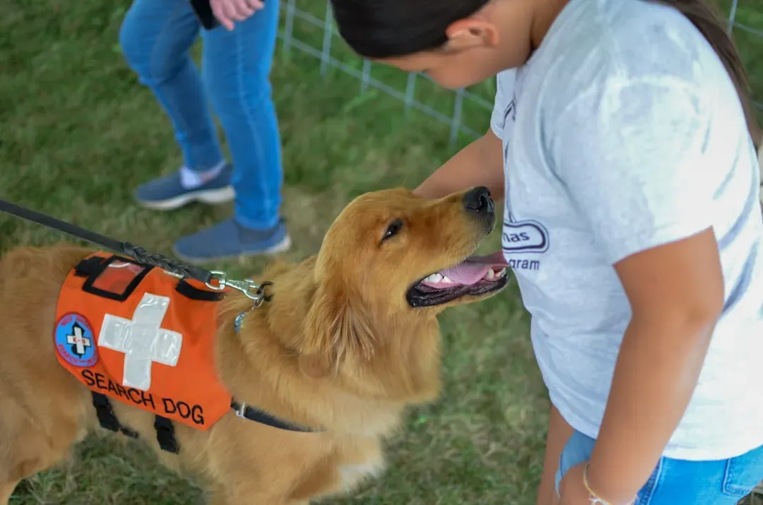 #8 - Service and Detection Dogs Are Rewriting the Rules on Chronic Disease (Image Credits: Unsplash)
