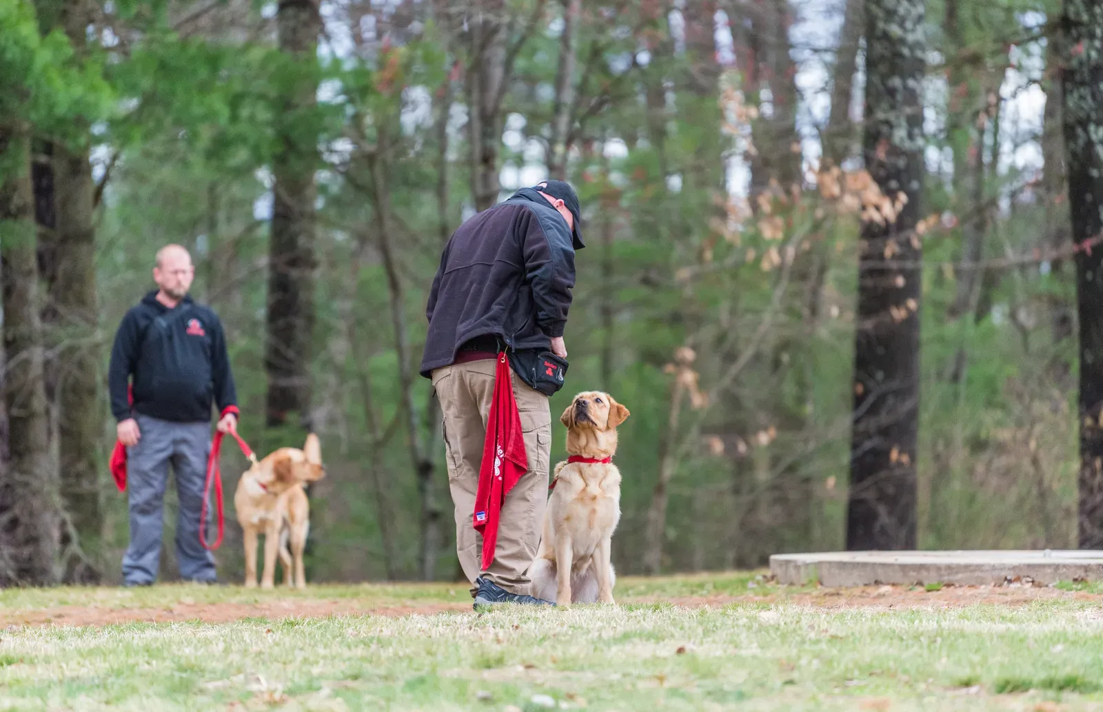 Celebrating Every Small Victory (Image Credits: Wikimedia)