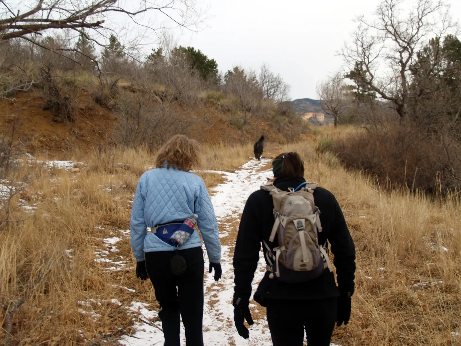 #1. Sagittarius: The Ultimate Adventure Partner (By David Shankbone, CC BY 3.0)