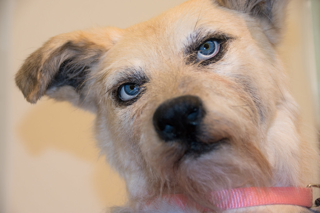 Different Forms of  and Their Dangers (Image Credits: Flickr)