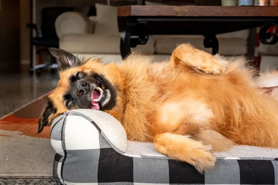 Little Smiles or Lip Smacks Appear (Image Credits: Pexels)