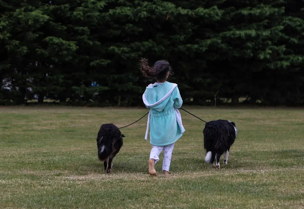 #10 - Outdoor Dogs as Built-In Babysitters (Image Credits: Pixabay)