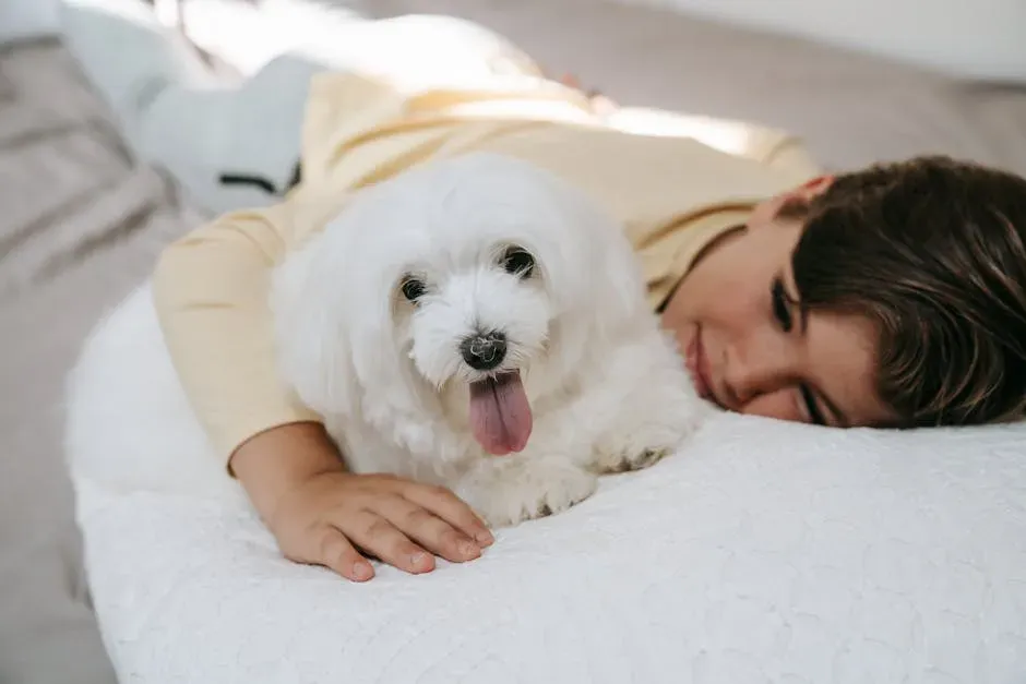 #10. Bichon Frise - Wrapping Cancer in Pure Warmth (Image Credits: Pexels)