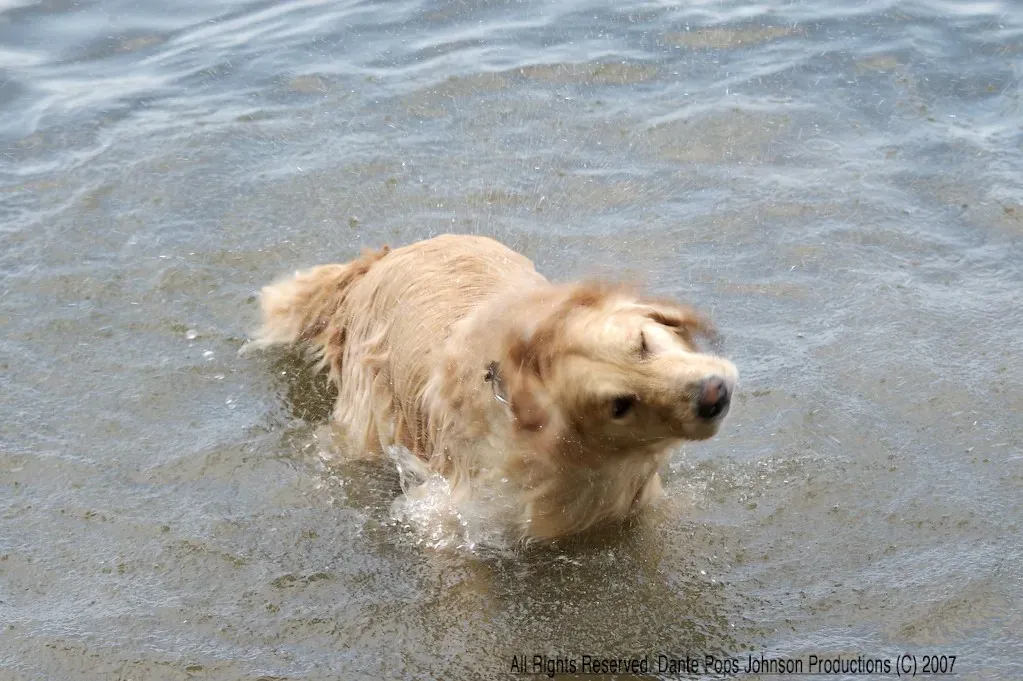 Why This Tiny Behavior Deserves Big Respect (jhadow, Flickr, CC BY 2.0)