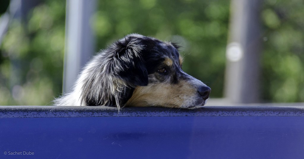 Breaking the Cycle of Departure Anxiety (Image Credits: Flickr)